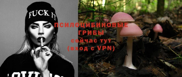 прущий лед Гусь-Хрустальный