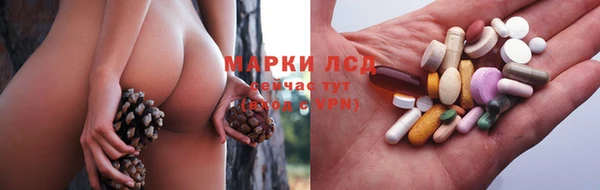 jwh Гусев