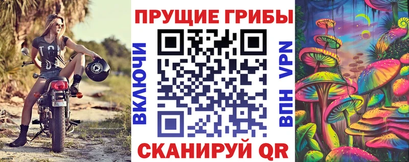 Купить где  Новокубанск  Галлюциногенные грибы Psilocybe 