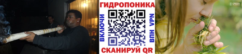 Шишки марихуана семена  Купить закладки  Новокубанск 